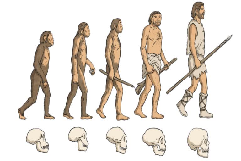 Traces of ancestor species  പൂര്‍വിക ജീവ വര്‍ഗങ്ങളുടെ  ഫ്ലിൻഡേഴ്‌സ് സര്‍വകലാശാല  ആലിസ് ക്ലമന്‍റ്  എന്താണ് നമ്മെ മനുഷ്യരാക്കുന്നത്  studies on human evaluation  science news  മനുഷ്യ പരിണാമം