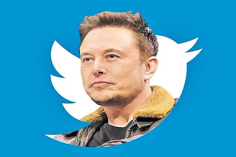 Mr Tweet Elon Musk is now Mr Tweet