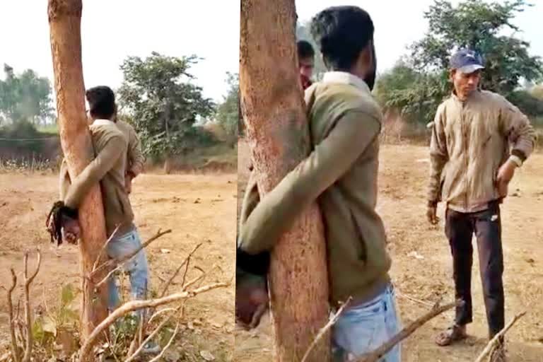 beating up youth tied to a tree in narmadapuram