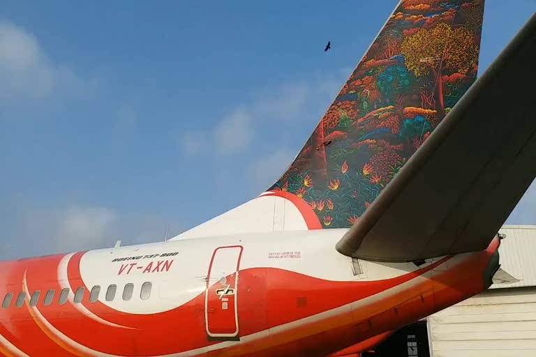 Biennale picture on Air India flight  ആര്‍ട്ടിസ്റ്റ് ജി എസ്‌ സ്‌മിത  എയര്‍ ഇന്ത്യ  ബിനാലെയുടെ പ്രശസ്‌തി ഇനി വിദേശ രാജ്യങ്ങളിലേക്ക്  കൊച്ചി മുസിരിസ് ബിനാലെ  kochi muziris binnale  തിരുവനന്തപുരം വാര്‍ത്തകള്‍  തിരുവനന്തപുരം ജില്ല വാര്‍ത്തകള്‍  തിരുവനന്തപുരംhുതിയ വാര്‍ത്തകള്‍