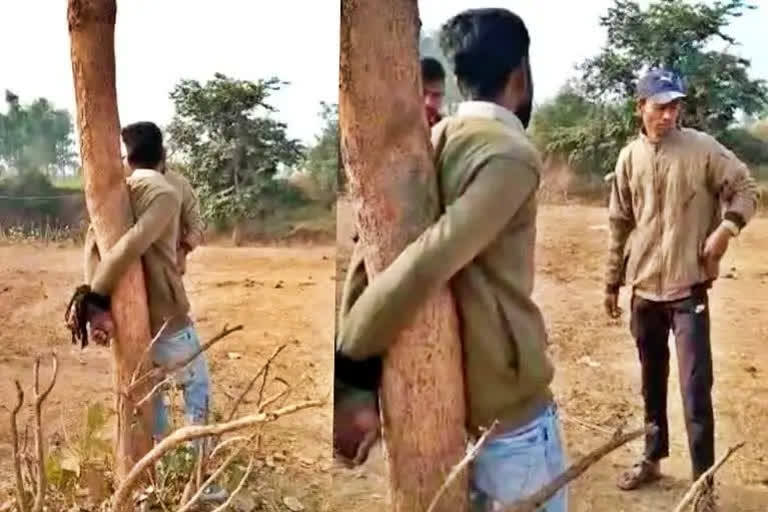 Youth thrashed after tying to a tree in Narmadapuram