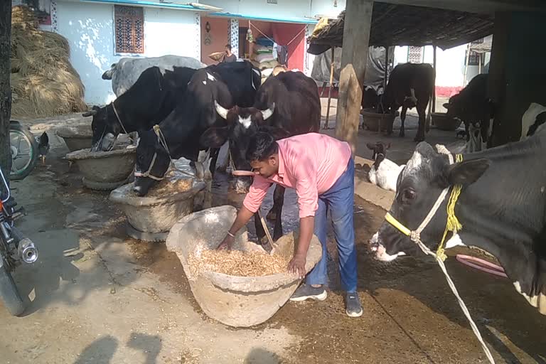 गोपालगंज में दूध उत्पादक विशाल की कहानी