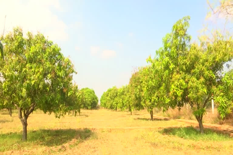 Nagarkurnool district