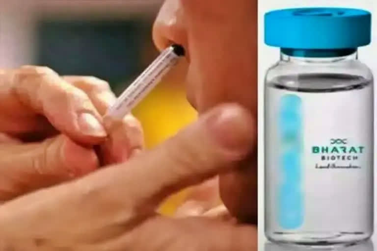 Bharat Biotech Launches  world first nasal corona vaccine incovacc  Bharat Biotech Launches corona vaccine incovacc  ವಿಶ್ವದ ಮೊದಲ ಮೂಗಿನ ಲಸಿಕೆಯನ್ನು ದೇಶದಲ್ಲಿ ಬಿಡುಗಡೆ  ಲಸಿಕೆಯನ್ನು ದೇಶದಲ್ಲಿ ಬಿಡುಗಡೆಗೊಳಿಸಿದ ಭಾರತ್​ ಬಯೋಟೆಕ್​ ಕೇಂದ್ರ ಆರೋಗ್ಯ ಸಚಿವ ಮನ್ಸುಖ್ ಮಾಂಡವಿಯಾ  ಭಾರತ್ ಬಯೋಟೆಕ್​ನ ಮೂಗಿನ ಲಸಿಕೆ  iNCOVACC ರೋಲ್‌ಔಟ್ ನಂತರ ಈಗ ಮತ್ತೊಂದು ಲಸಿಕೆ  ಭಾರತ್ ಬಯೋಟೆಕ್‌ನ ಕೋವಾಕ್ಸಿನ್  ಕೊರೊನಾ ಸೇರಿದಂತೆ ಹೆಚ್ಚಿನ ವೈರಸ್‌