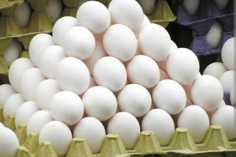 Fall in egg prices