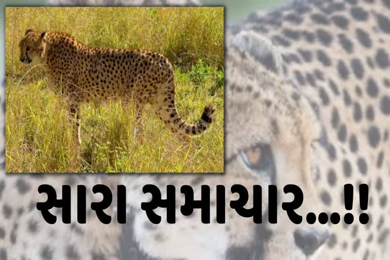 બે મહિના પછી થશે જાણ