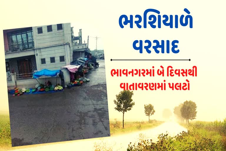 Rain in Bhavnagar