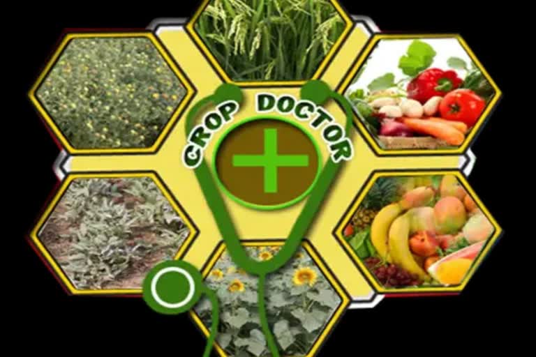 Crop doctor app in chhattisgarh
