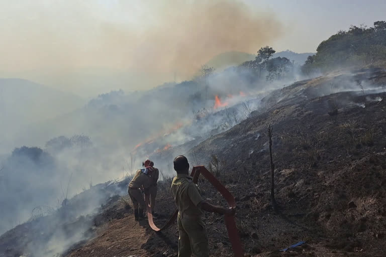 wild fire  nedumkandam wild fire  idukki nedumkandam wild fire  idukki  idukki news  കാട്ട് തീ  ഇടുക്കിയില്‍ ജനവാസ മേഖലയ്‌ക്ക് സമീപം കാട്ട് തീ  തീ പിടിച്ചു  അഗ്നിബാധ  ബേഡ്‌മെട്ട്  ബേഡ്‌മെട്ട് മാലിന്യ സംസ്‌കരണ പ്ലാന്‍റ്