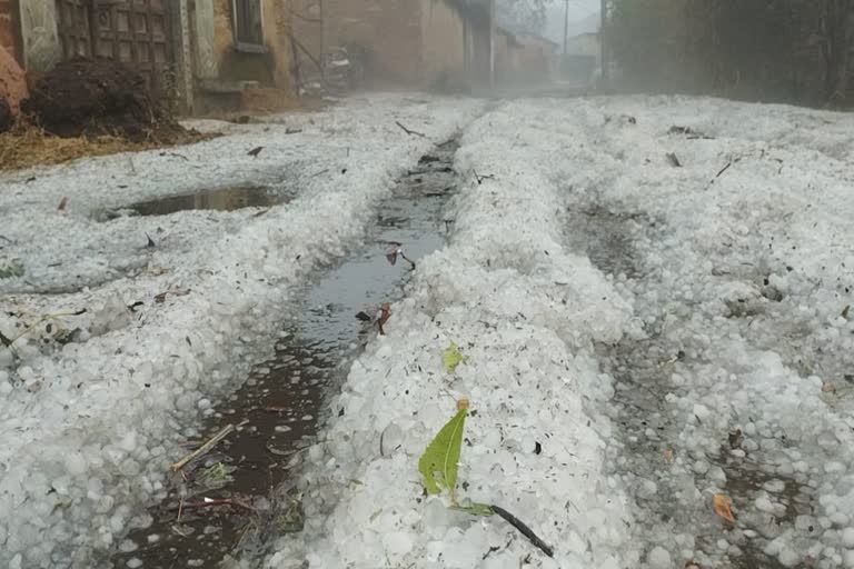 Hailstorm in Mewar: मेवाड़ में कश्मीर सा नजारा, बारिश औऱ ओलावृष्टि से फसलें  खराब...उदयपुर में 31 जनवरी तक 5वीं तक के स्कूल बंद, hailstorm in udaipur  and rajsamand farmers ...