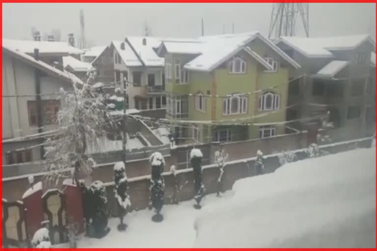 Snowfall in Kashmir