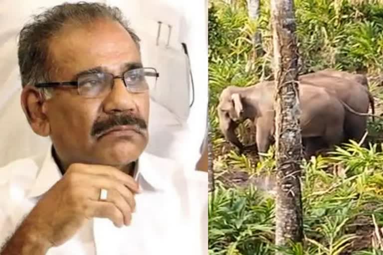 meeting chaired by Forest Minister AK Saseendran  wildlife attacks  Forest Minister AK Saseendran  meeting chaired by Forest Minister  idukki elephant attack  wild elephant attack  elephant attack  ഇടുക്കിയിലെ വന്യജീവി ശല്യം  വന്യജീവി ശല്യം  വനംവകുപ്പ് മന്ത്രി  വനംവകുപ്പ് മന്ത്രി എ കെ ശശീന്ദ്രൻ  വനംവകുപ്പ് മന്ത്രിയുടെ അധ്യക്ഷതയില്‍ യോഗം  ഇടുക്കി വന്യജീവി ആക്രമണം  വന്യജീവി ആക്രമണം