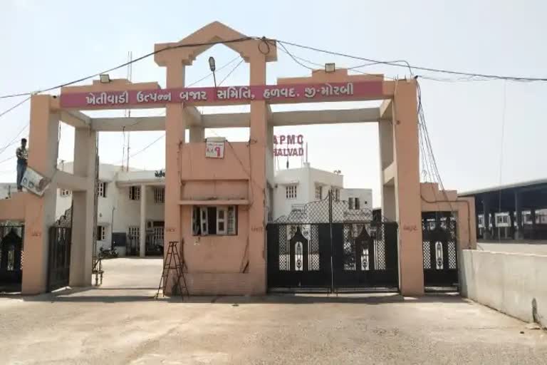 Scam Uncovered In Halwad Marketing Yard