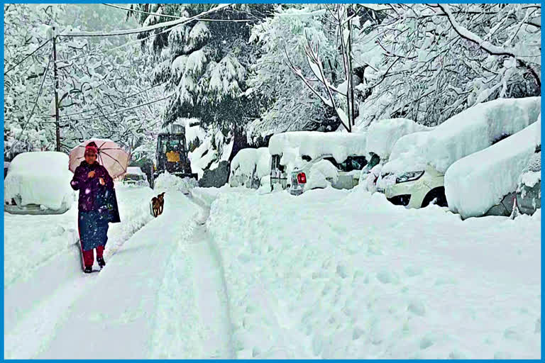 Snowfall in Kinnaur.