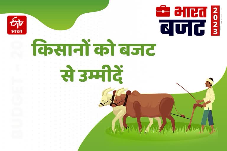 Expectations of farmers from budget in Haryana