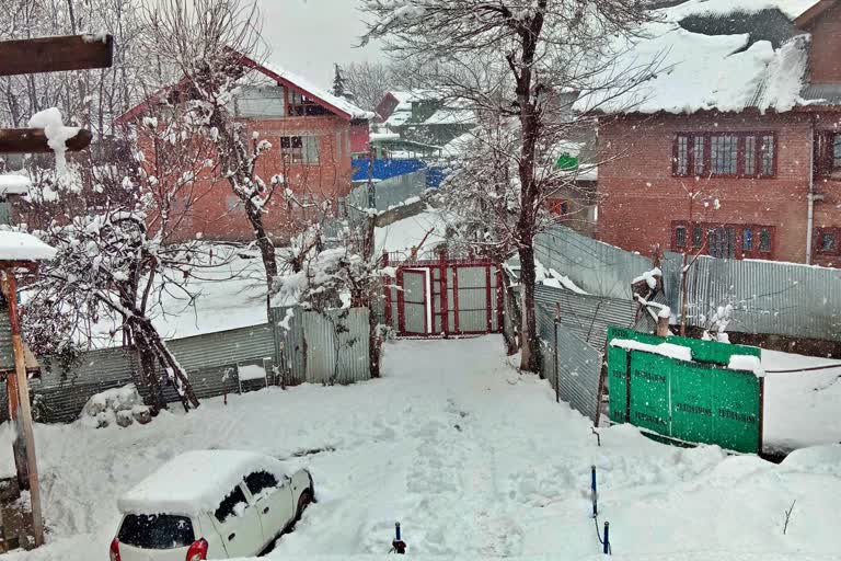 Snowfall in Srinagar and the plains of valley