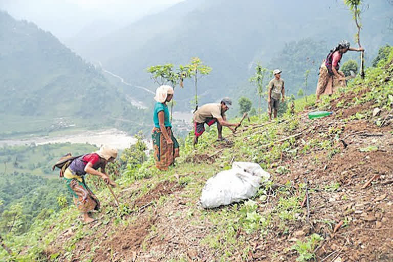 waste lands