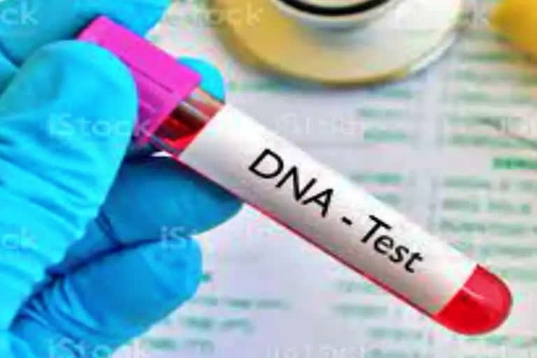 Hyderabad-based govt lab to help exporters in halal compliance  through the detection of porcine DNA, the Meat Species Identification Laboratory (MSIL) at the NRCM offers molecular biomarker analysis for food animal species identification, DNA bar-coding for wild animal meat species identification, detection for the presence of animal origin DNA and training in "DNA techniques in food fraud analysis" and "Good Food Laboratory Practices."