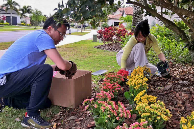 In this undated photo released by Miao Yu, Miao Yu and his wife Xie Fang garden in Orlando, Florida. Yu, a former bookseller, left China after his store was shut down for political reasons. (Miao Yu via AP)