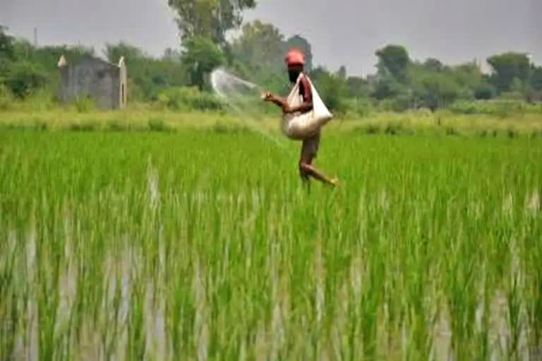 Indian farm sector performed well, but needs re-orientation: Eco Survey