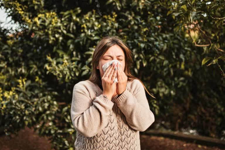 fear of seasonal allergies is troubling in the changing season so include these food items in the diet