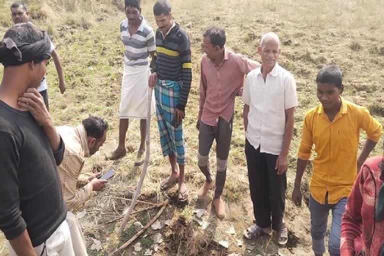 Tiger terror in Manendragarh