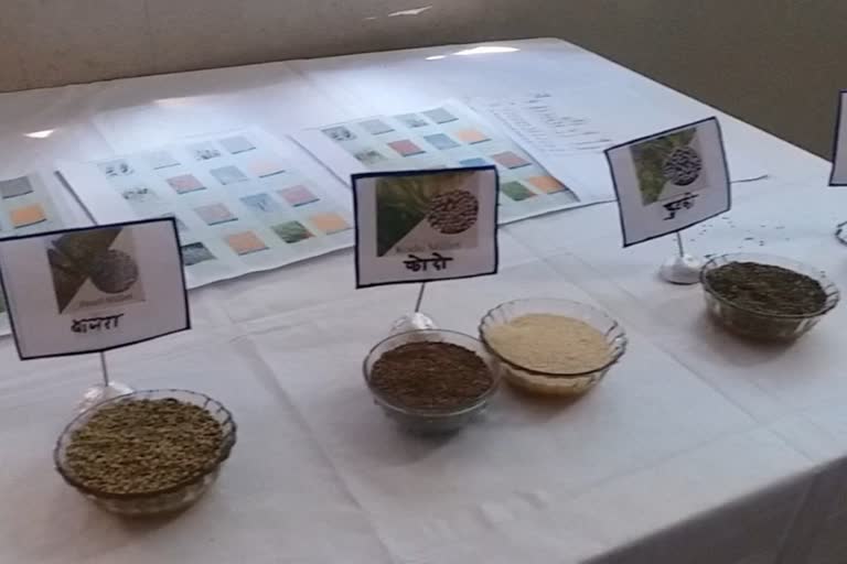 Workshop on Mission Millets organized in sarguja