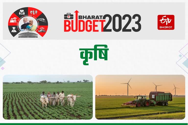 बजट 2023 में कृषि सेक्टर