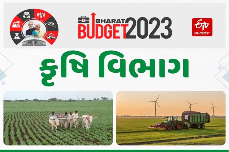 Union Budget 2023 કૃષિ માટે જાહેરાત, સ્ટાર્ટઅપ અને ડિજિટલ વિકાસ પર ભાર