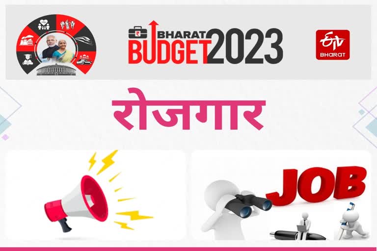 Budget 2023 FM Nirmala Sitharaman on Rojgar