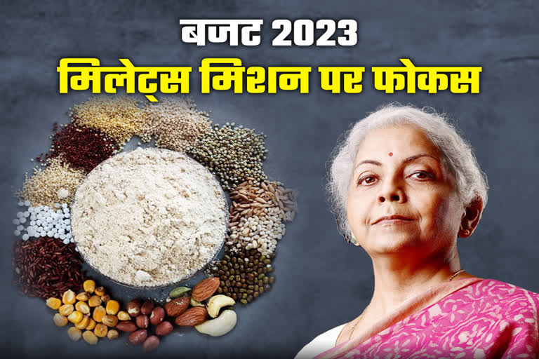 Focus on millet production in budget 2023