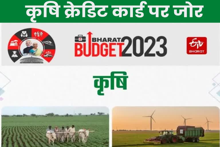Union Budget Etv Bharat