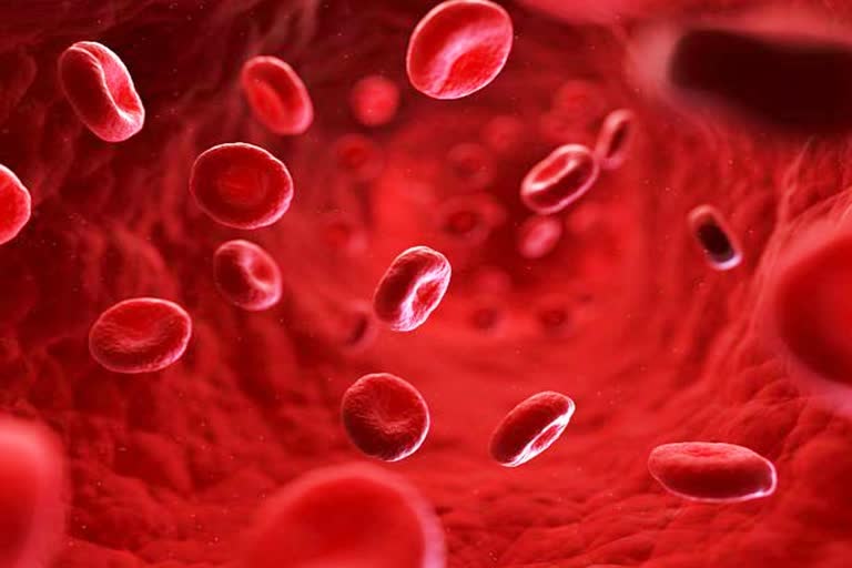 What Are Platelets and Why Are They Important