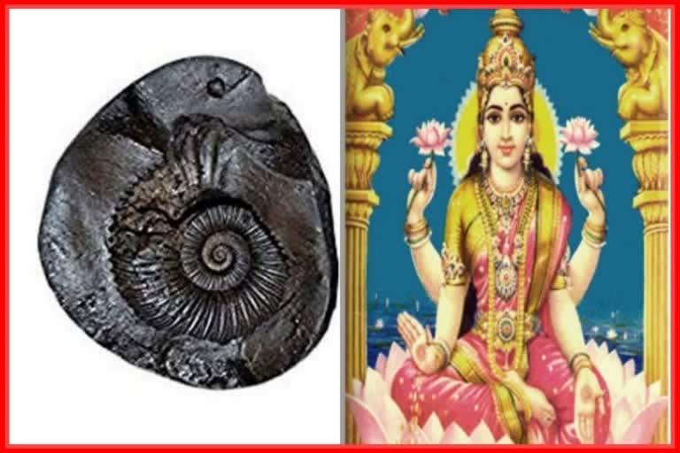 Shaligram Rules