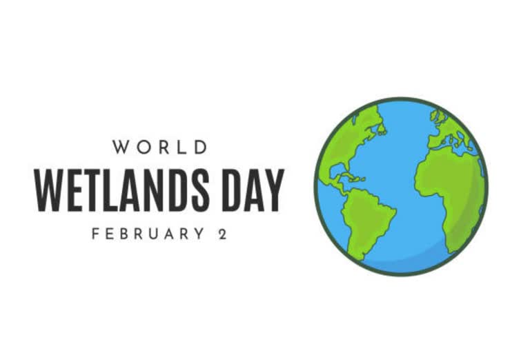 World Wetlands Day is celebrated each year on 2 February