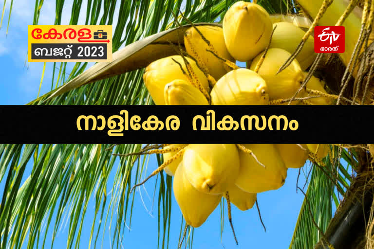 budget  കേരള ബജറ്റ് 2023  സംസ്ഥാന ബജറ്റ് 2023  രണ്ടാം പിണറായി സര്‍ക്കാര്‍ ബജറ്റ്  കെ എന്‍ ബാലഗോപാല്‍ ബജറ്റ്  ബജറ്റ് 2023  Kerala Budget 2023  Budget 2023  Budget session  KN Balagopal Budget