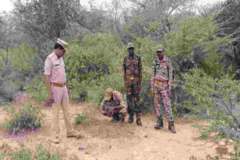 Tiger migration in Prakasam district