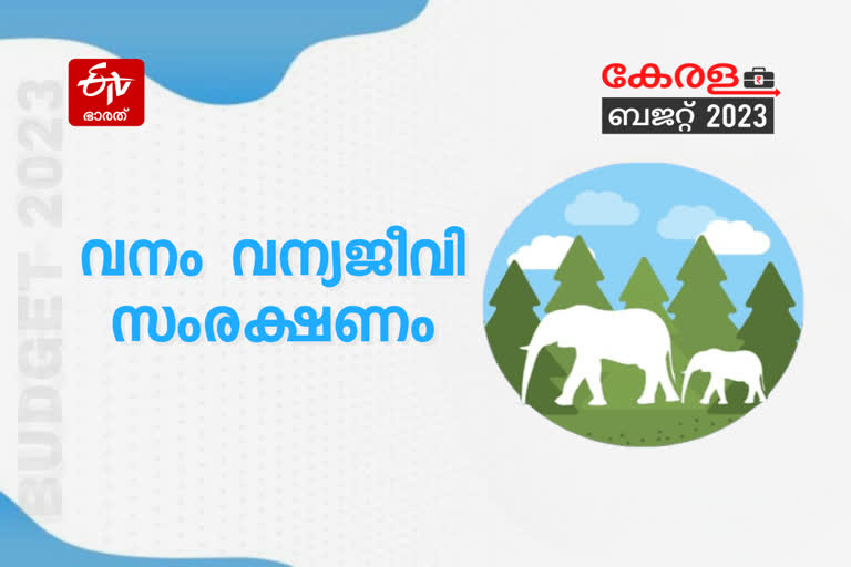 budget  kerala budget  kerala budget live  state budget  Forest Wildlife Conservation  കേരള ബജറ്റ്  സംസ്ഥാന ബജറ്റ്  കേരള ബജറ്റ് 2023  വന്യജീവി സംരക്ഷണം  വനം സംരക്ഷണം