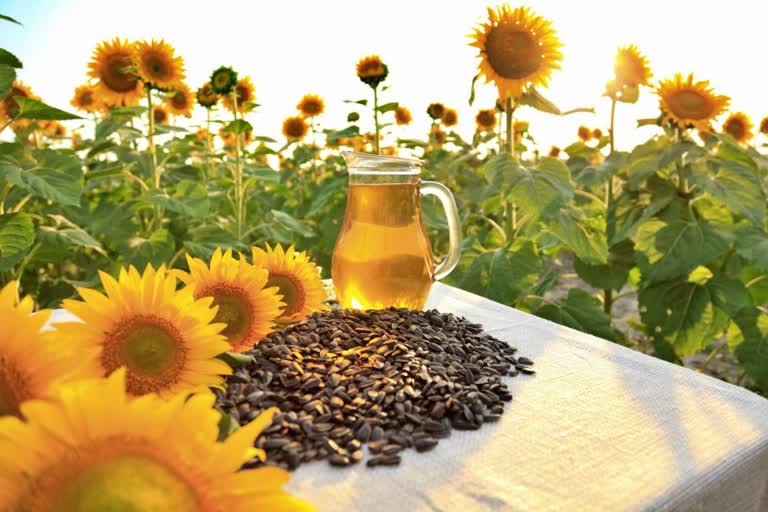 Health benefits of sunflower seeds