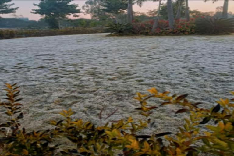 amarkantak snow like white dew freezes on ground