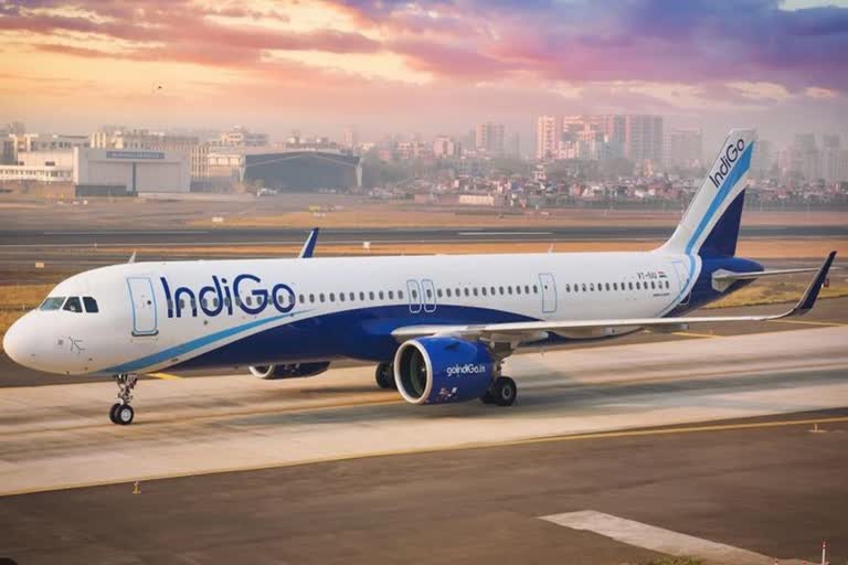 Indigo