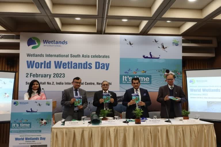 world wetland day