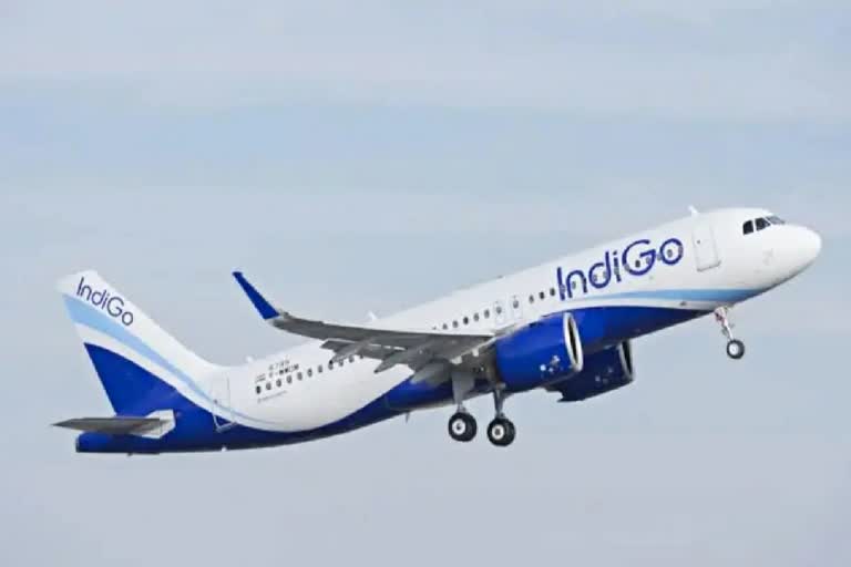 Indigo Flight Bizarre