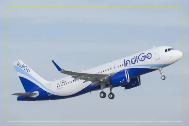 Bizarre! Indigo flies Patna passenger to Udaipur, DGCA orders probe