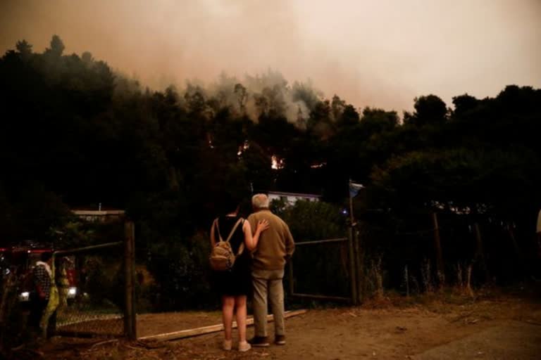 E13 killed as wildfires rip through south central Chile(file photo )tv Bharat