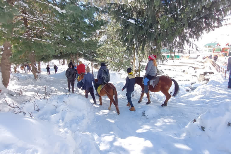 The Beauty of The Kashmir