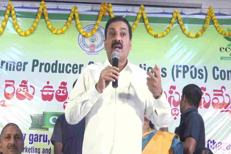 శ్రీధర్ రెడ్డిపై మంత్రి కాకాని ఫైర్