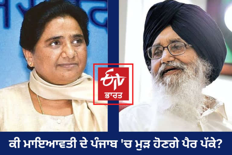 What will be the profit and loss of BSP's alliance with Akali Dal, read special study