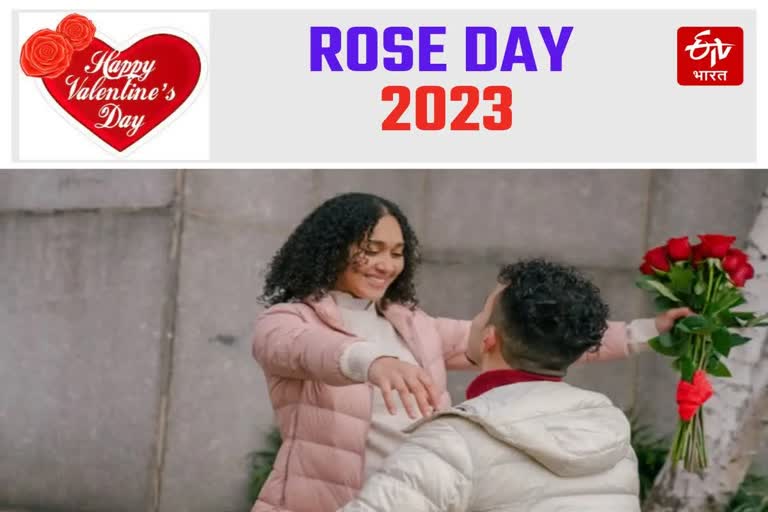 Rose Day 2023 : કપલ્સ માટે વેલેન્ટાઈન વીકનો પહેલો દિવસ છે ખાસ, જાણો કેમ