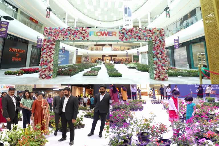 Thiruvananthapuram Lulu Mall  Thiruvananthapuram Lulu Mall Flower Show  Flower Show at Thiruvananthapuram Lulu Mall  Thiruvananthapuram Flower Show  കൗതുകമായി ലുലു മാളിലെ പുഷ്‌പമേള  ലുലു മാളിലെ പുഷ്‌പമേള  സണ്‍ഡ്രോപ് പഴം  മിറാക്കിള്‍ ഫ്രൂട്ട്  പ്ലാവ് വെറൈറ്റിയായ ഡാങ് സൂര്യ  തായ്‌ലന്‍ഡ് മാവ്  ആയുര്‍ ജാക് പ്ലാവ്  ബോഗന്‍വില്ല  ഓര്‍ക്കിഡ്  Sun Drop fruit  Miracle fruit